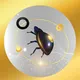 Bug Bounty Program Pepita