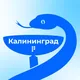 Калининград Орден Фармацевтов