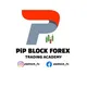 PiP Blocks Forex Trading House📉📈📍