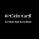 Pirtukên kurdî