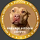 Pitcoin Crypto