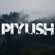 PIYUSH_BST_STOCKS