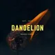 D A N D E L I O N