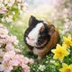 🌷🌿Spring guinea pig 🌸💐