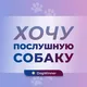 Хочу послушную собаку 🐾🐕