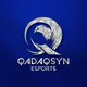 QADAQSYN ESPORTS