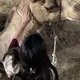 ♯̶قـصيدهہ♩📻ۦ‎