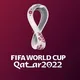 Qatar IT Professionals