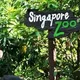 Zoo Singapore