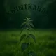 авылым Кычытканлы / село Кичкальня
