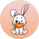 Rabbit Finance Global