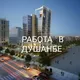 Работа в Душанбе Кор Дар Душанбе