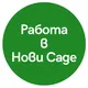 Работа в Нови Саде