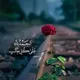 ۞ بَصَائِــرُ وَهُدًى ۞