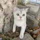 insta akk savdo