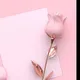 KḈHANA➢R£KLAM
