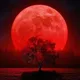 melodic music RELAX SAD
