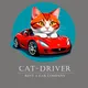 Аренда авто Белград/Rent a car Beograd