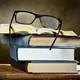 Reviewer Journal