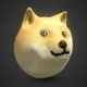 DOGE COIN / BITCOIN / TON COIN / XRP