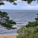 Авто перевозки людей и посылок из/в Риги, Москвы, Вильнюса, Таллина, Санкт-Петербурга, Пскова