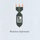 România Informată