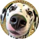 $ROXY Coin - Spotted Solana MEME COIN (PUBLIC)