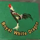 Royal White Dragon ភូមាប្រភេទវ៉ៃស្មារ