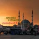 Русские в Стамбуле,помощь,новости,общение