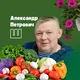 Овощи и садовые цветы Казань Чувашия