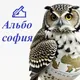 Комментарии канала Альбософия 👨🏻‍💻👩🏼‍💻safinshorts