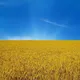 Українці у Таїланді / Украинцы в Таиланде - Самуи