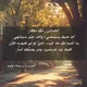"سَنديانة القُدس"✍🍂