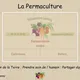Satya_permaculture