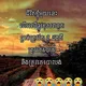 Cher besdong