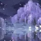 Seouless Sanctuary