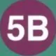 서울대한국어 5B