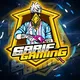 SARIF GAMING - SETUP