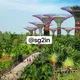 📈[First] Singapore To India (Travels | Tips)