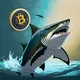 Shark Crypto