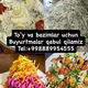 ОК МАКТАБ БОГОТ САЛАТЛАРИ🥙🌮
