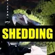 SHEDDING⚠️TOXIC SPIKES⚠️IMPFGERUCH⚠️5G