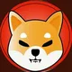 SHIBA INU - ESPAÑA