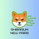 Shibarium New Contract / Pair