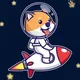 Shitcoins x1000 Community 🚀📈
