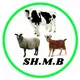 Shofirkon Buxoro mol bozori