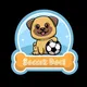 SoccerDoge Presale Live BSC Official