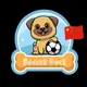 SoccerDoge BSC China 提防假群