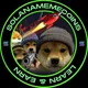 Solanamemecoins.io 🐢
