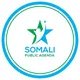 Somali Public Agenda